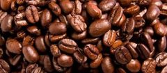 Premium Indonesian Arabica & Robusta Coffee | Origin Supply for Global Buyers - Image 3